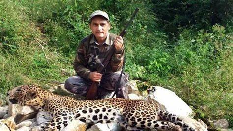 猎豹|12岁女孩回家路上突遇猎豹，被当场撕咬致死