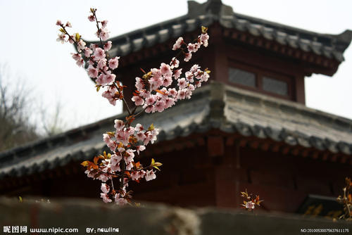 你有桃花运吗?每天五分钟一起学周易。