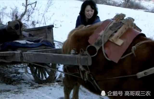 北方农村风俗"拉帮套,现在还有吗