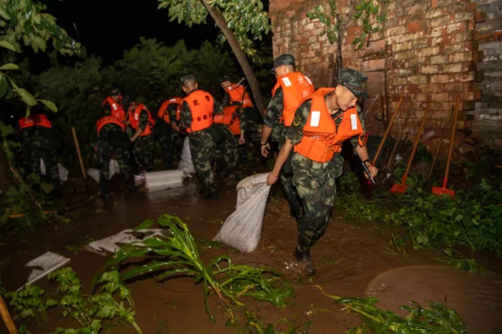 长江干支流全线超警!看沿江各地抗洪抢险保家园!