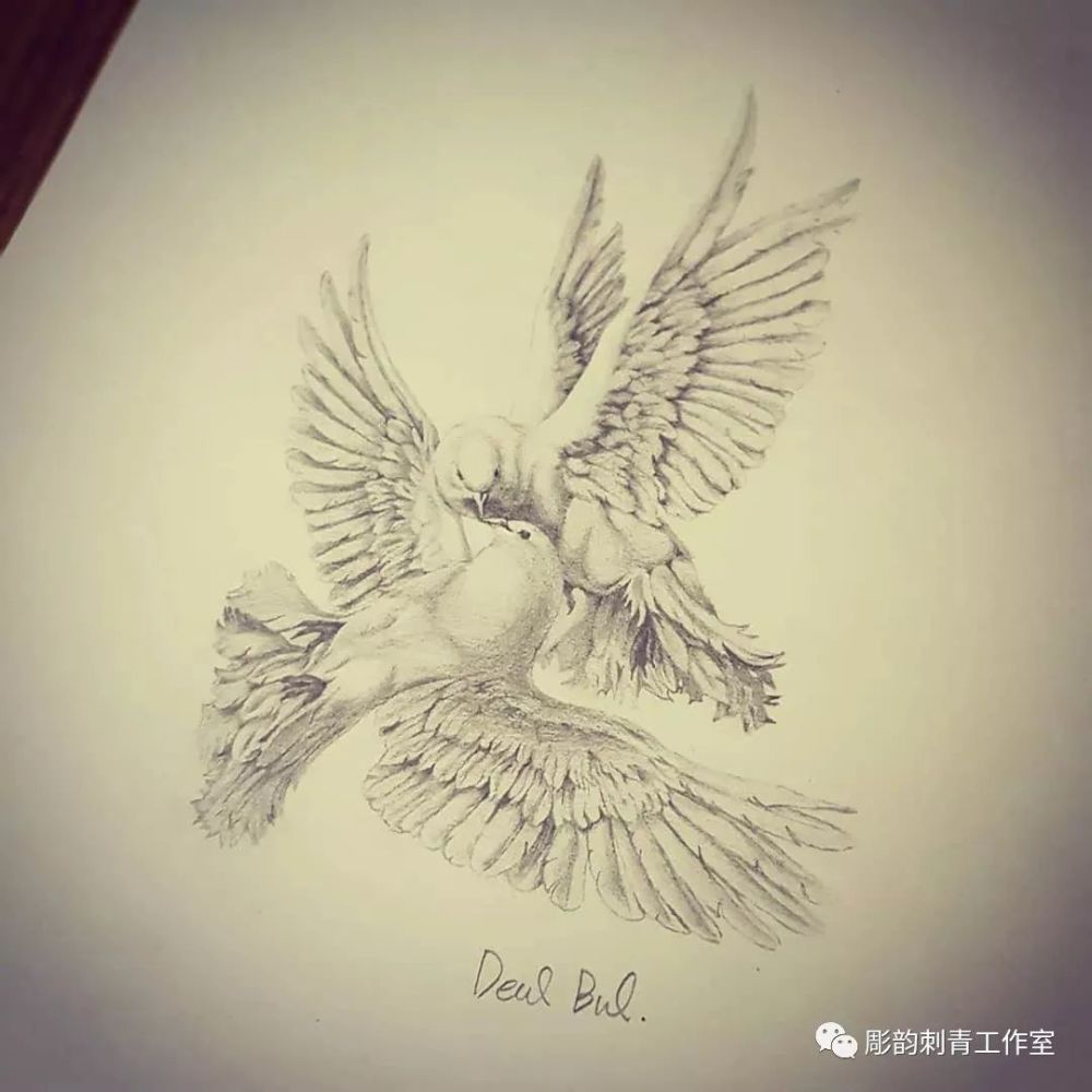 鸽子纹身刺青图集