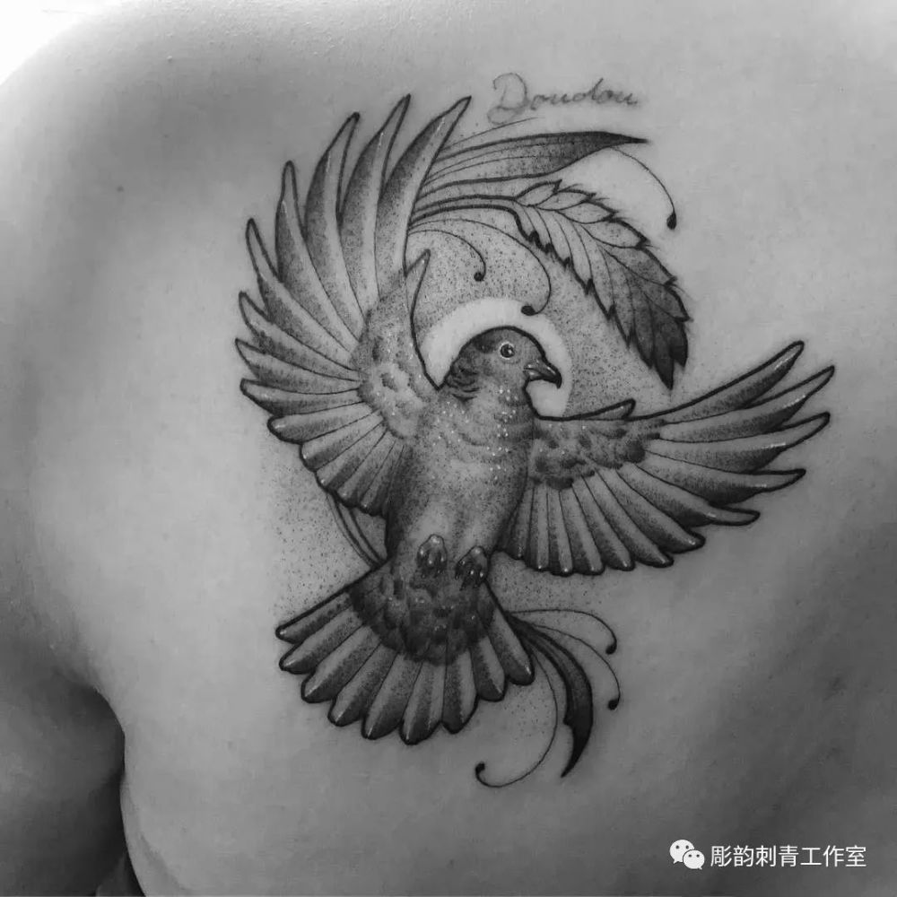 鸽子纹身刺青图集