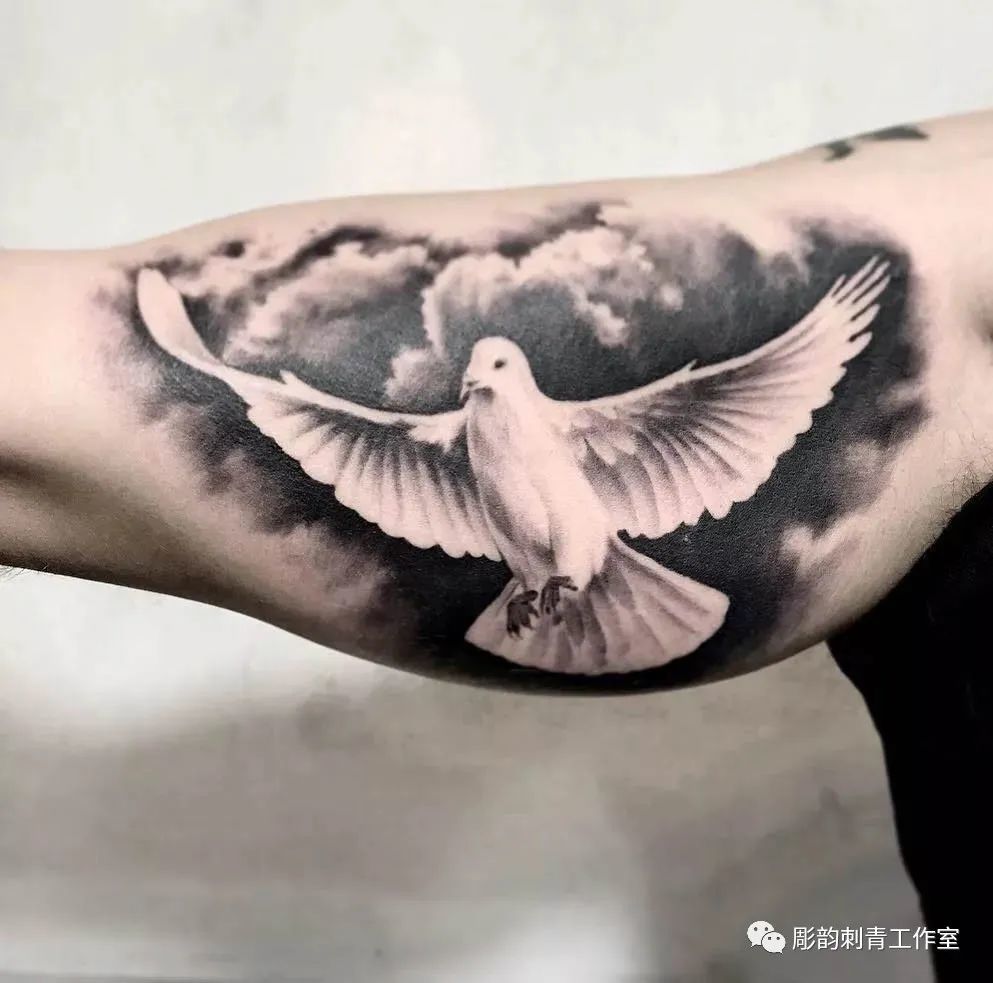 鸽子纹身刺青图集