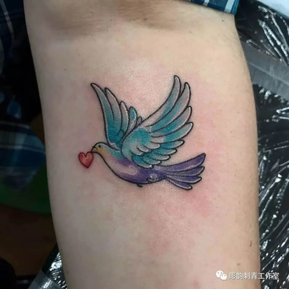 鸽子纹身刺青图集