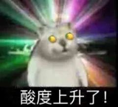 邓伦|烧脑又刺激，憋尿也要看完的爆款国综回来了