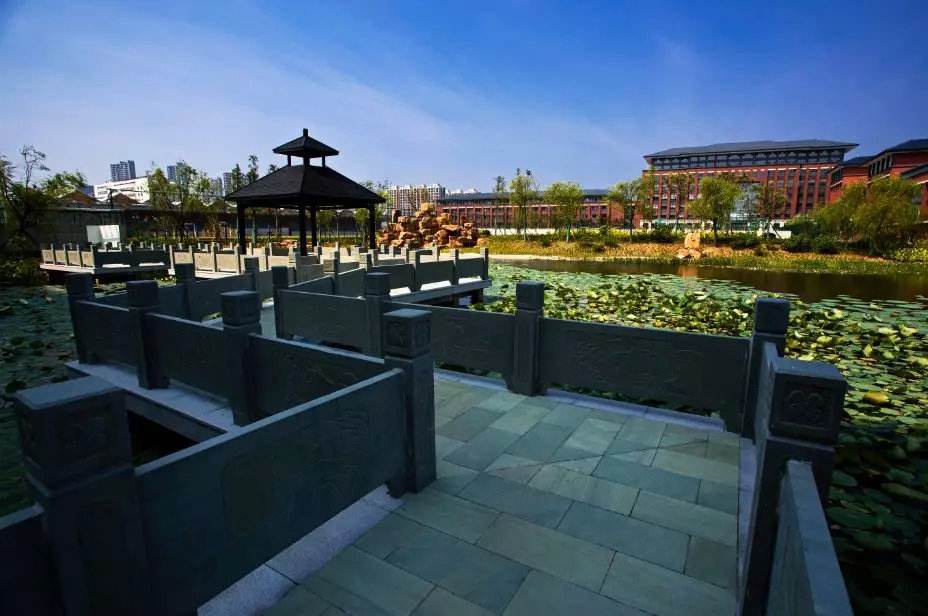 岑怡诺|浙江神童岑怡诺，一天写2000首诗？网友：先考进慈溪中学再说！