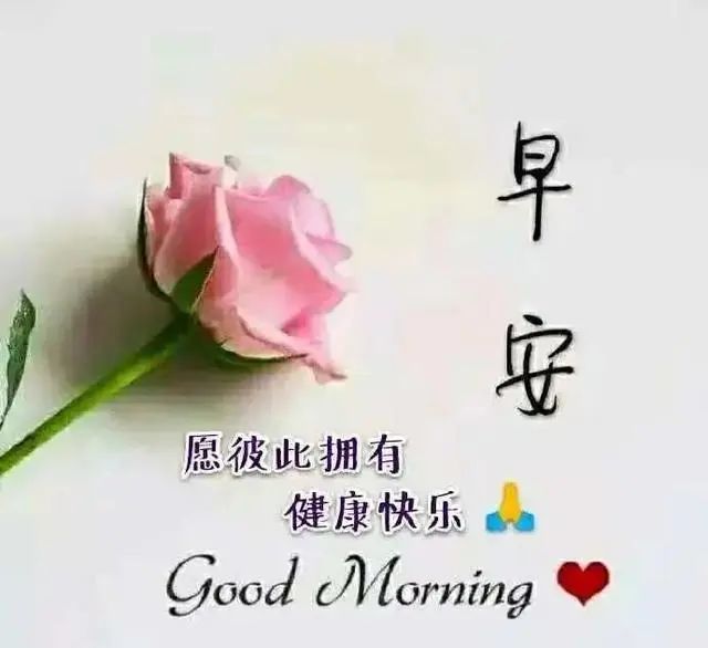 4月6日最新版早上好问候语句早晨好祝福图片表情带字