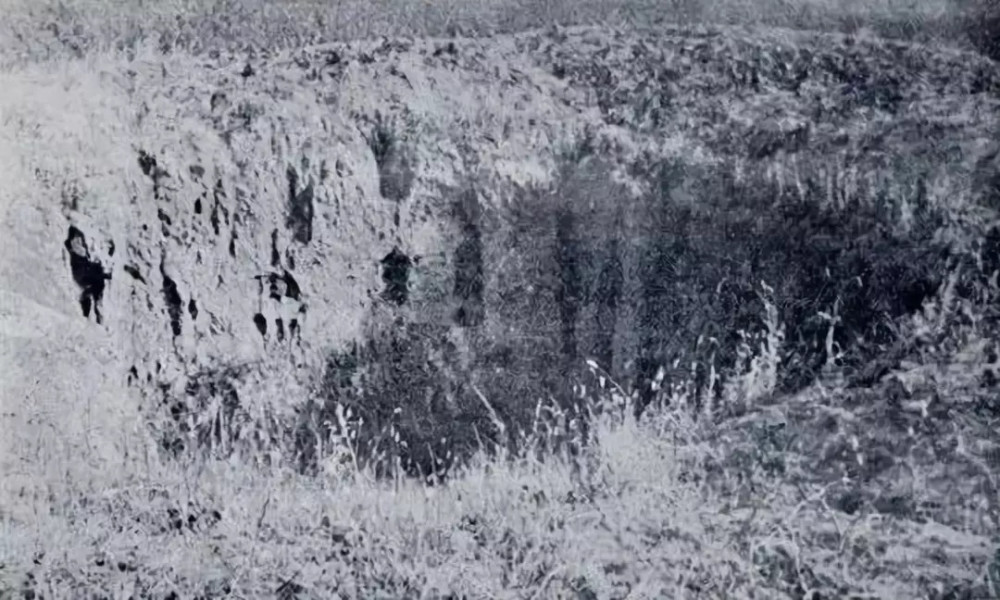 金村|这个村子，被外国人挖了6年，掘开8座大墓，盗走了数千件宝贝！