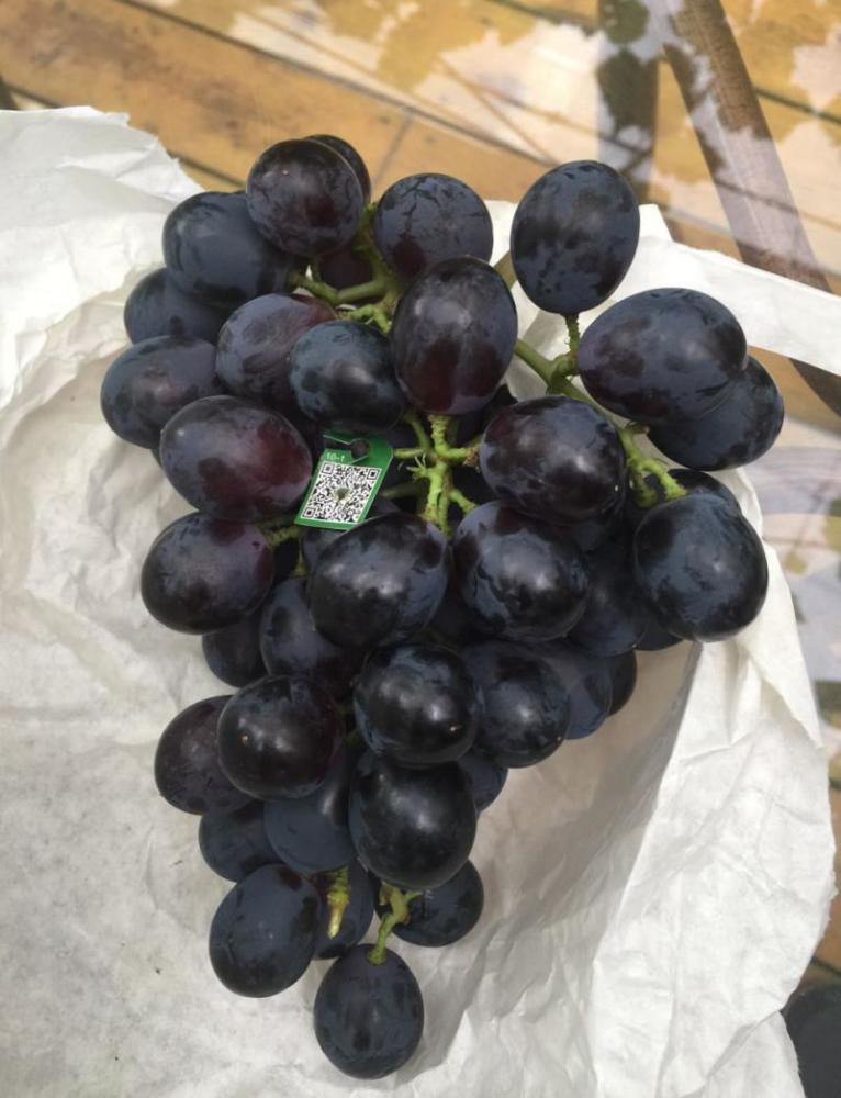 马陆葡萄|她把马陆葡萄当孩子来养，当年求职简历上写“我很能吃苦”