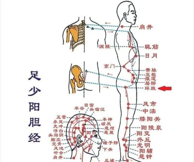 穴位位置