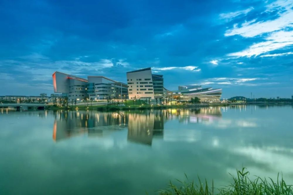 湖州|要求下架的冻南美白虾，湖州还有超市能买到？