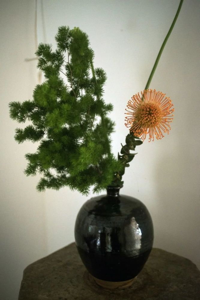 冯唐|冯唐：用美物消磨时光