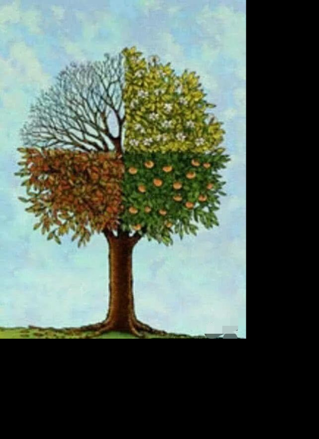 塔罗占卜:下面4棵树,你觉得哪棵最特别?测你的财运可以有多旺!