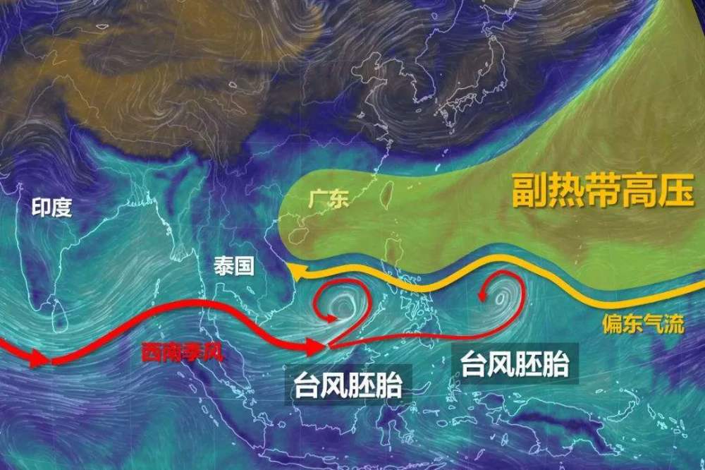 4号台风黑格比会是第二个利奇马吗