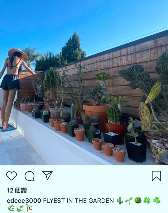 陈冠希懒理颜值下跌,高调炫耀秦舒培绝美身材,晒对方花园泳装照