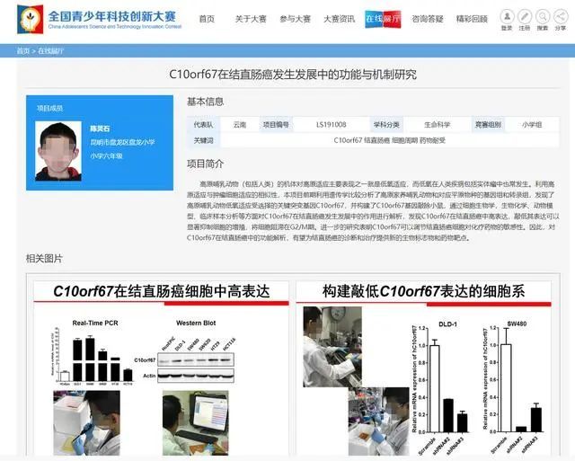 六年级小学生研究基因抗癌获奖，网友：他开挂