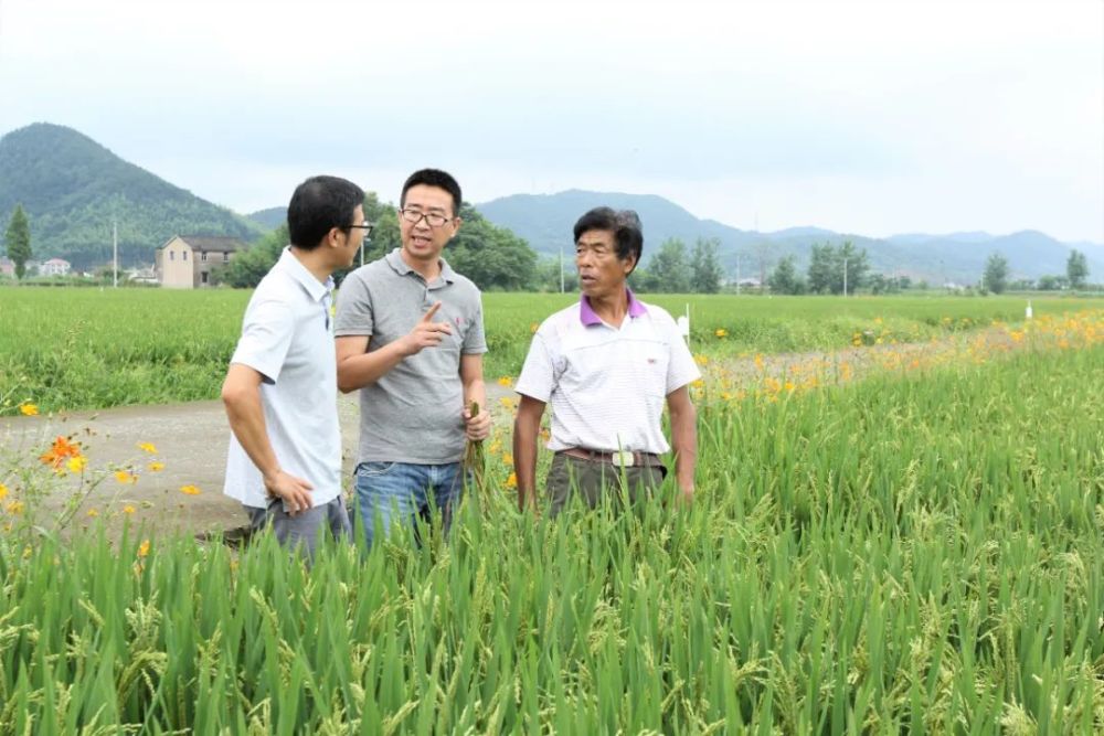 病虫害|汛期农作物发生病虫害怎么办？戳进来