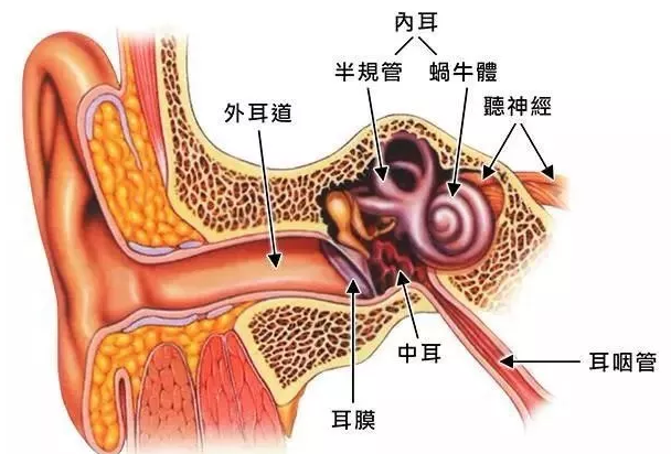 头晕耳鸣听力下降,警惕"听神经瘤"_腾讯新闻