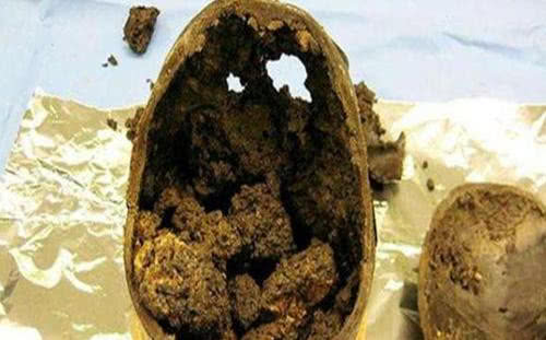 大脑|英国出土一颗神秘大脑，存活了长达2600年，它是怎么做到的？