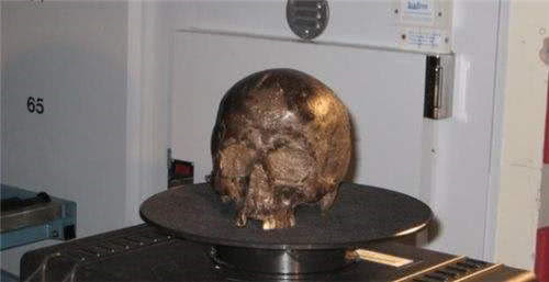 大脑|英国出土一颗神秘大脑，存活了长达2600年，它是怎么做到的？