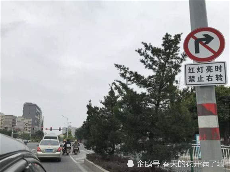 µĹڼ_һйع_(10dvd)