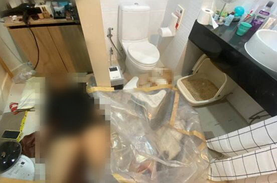 浴室|女子身穿黑色裙子在公寓的浴室里身亡，尸体旁2只猫也已经死亡