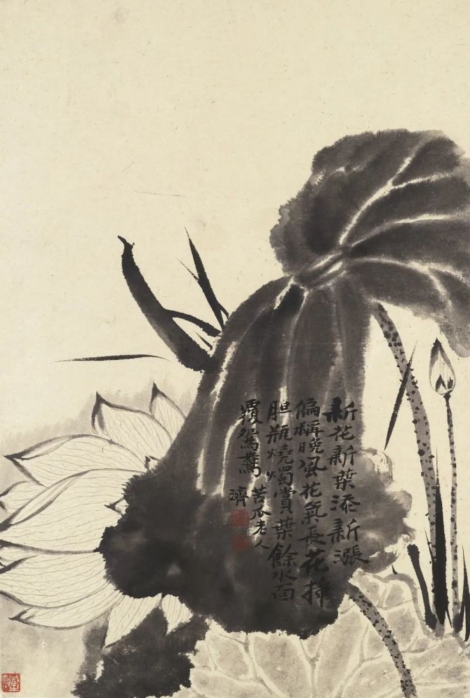 石涛|【别开生面】赏石涛泼墨荷花，真过瘾！