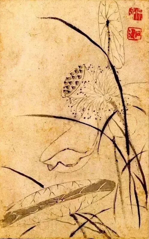 石涛|【别开生面】赏石涛泼墨荷花，真过瘾！