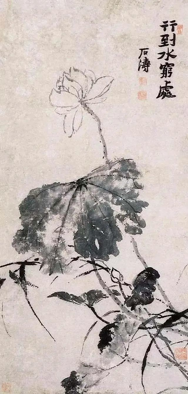 石涛|【别开生面】赏石涛泼墨荷花，真过瘾！