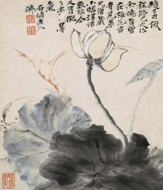 石涛|【别开生面】赏石涛泼墨荷花，真过瘾！