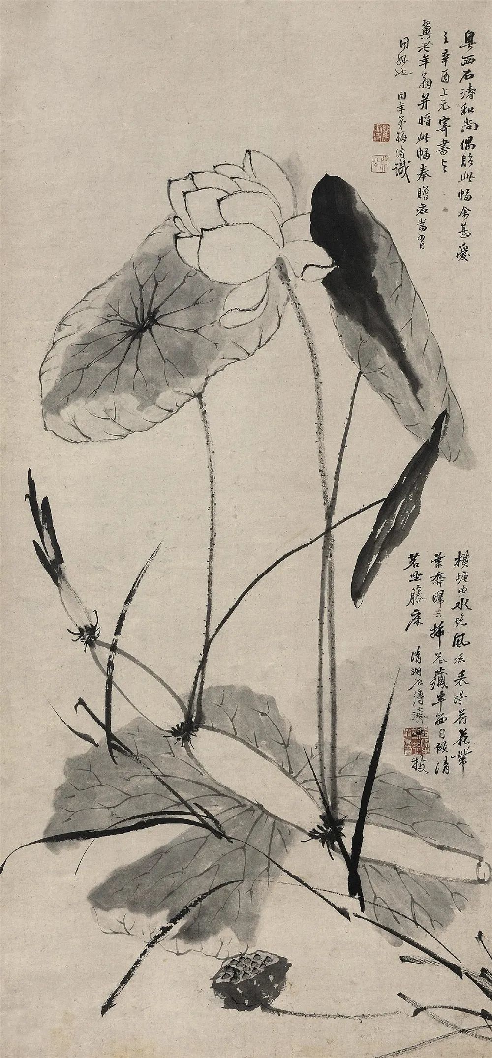 石涛|【别开生面】赏石涛泼墨荷花，真过瘾！