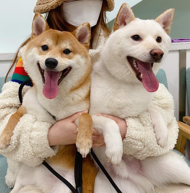 妻子|千万网红出轨聊骚？老婆晒聊天记录开撕被堵厕所，多方陷入混战