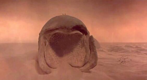 海洋生物|海底的“潜伏者”，没有大脑和眼睛，却是很多海洋生物的噩梦
