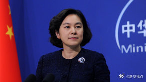 世卫组织|外交部：世卫组织两位专家已经抵达中国