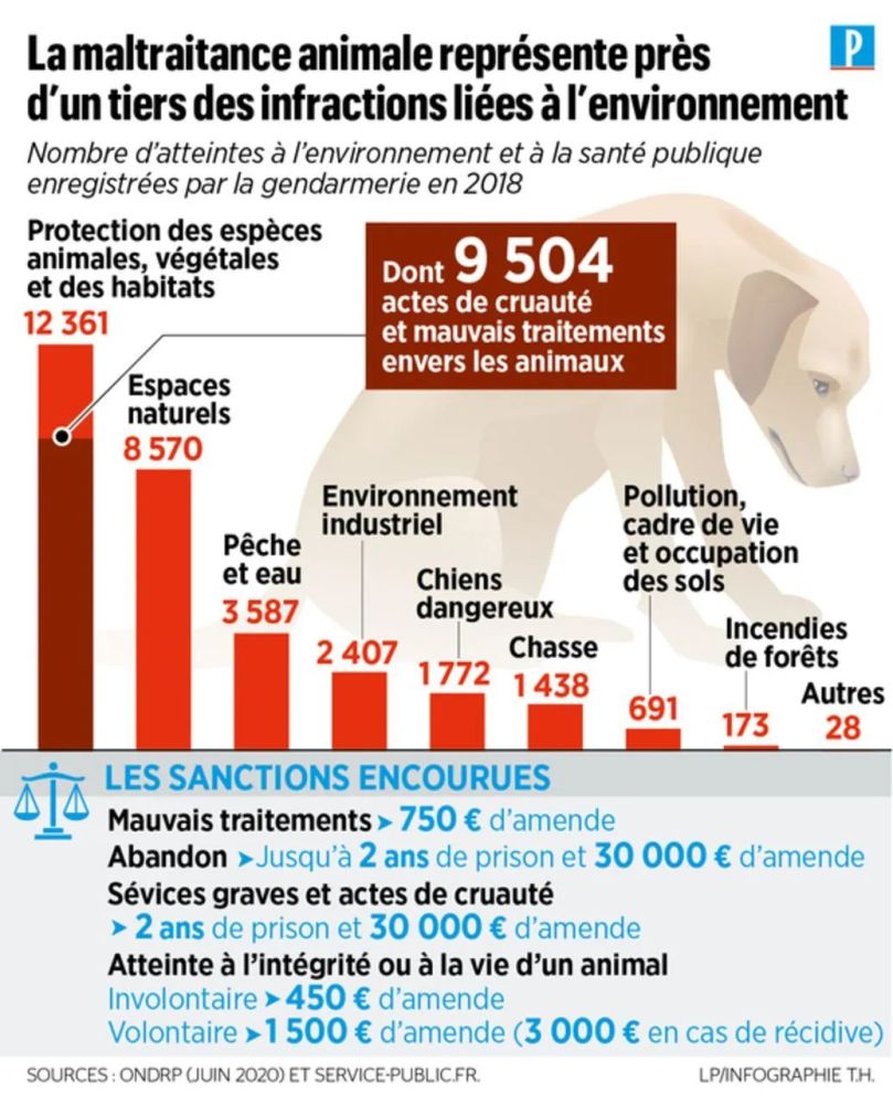 猫咪|【丑闻】贝桑松老人因“动物囤积症”，把10多具猫咪尸体冻在冰箱……