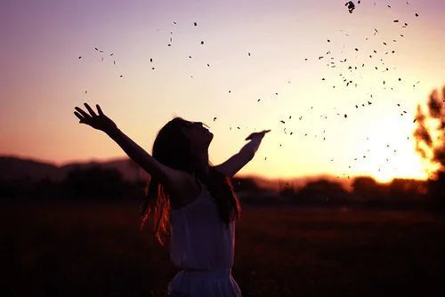 赖洪林|赖洪林、魏金柱、锋朔