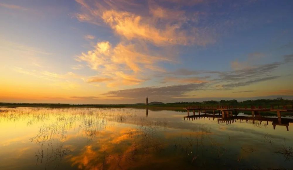 赖洪林|赖洪林、魏金柱、锋朔