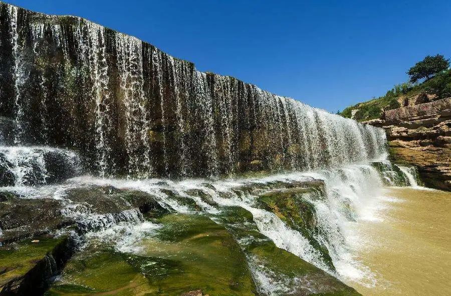 赖洪林|赖洪林、魏金柱、锋朔