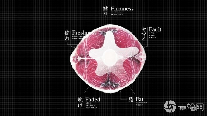 吞拿鱼|日本回转寿司连锁店以人工智能为吞拿鱼评级