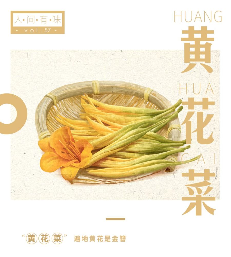 吃在当下 千万别等 黄花菜都凉了 腾讯新闻