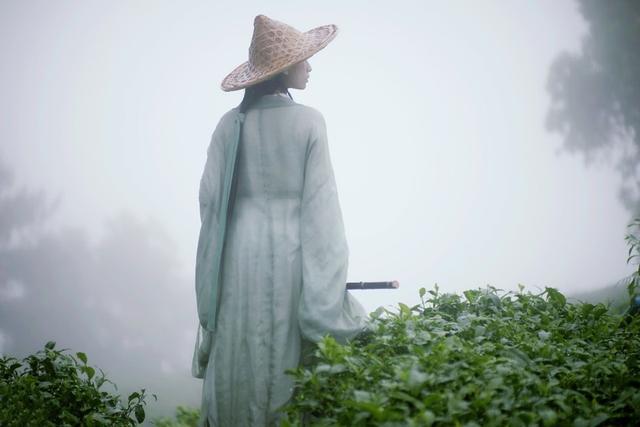 陶渊明|“白头搔更短”中的“短”是何意？许多人都理解错了