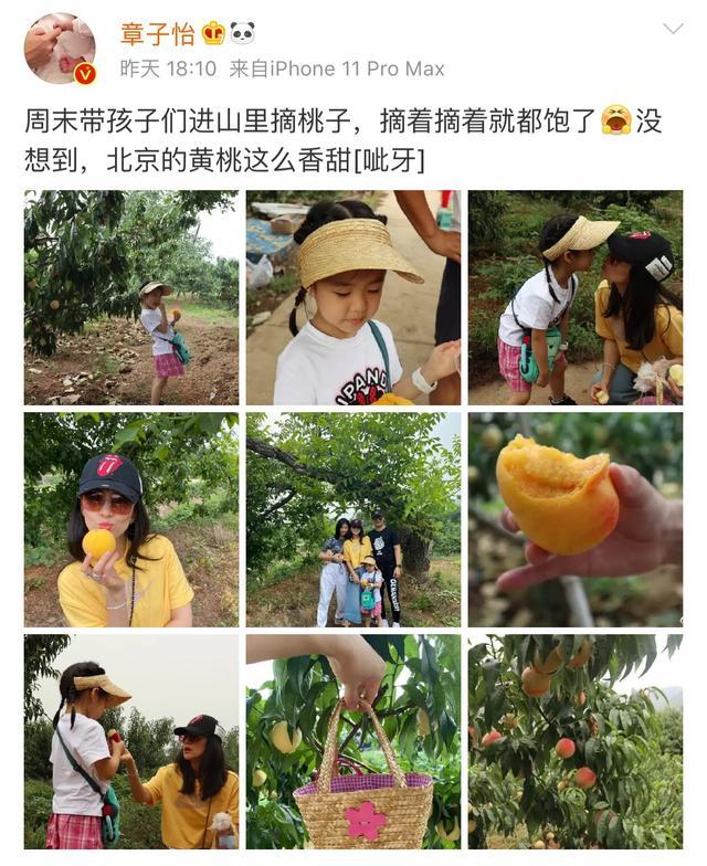 章子怡|被养女直追颜值，亲女儿却神似汪峰，章子怡带娃爬山破怀孕消息