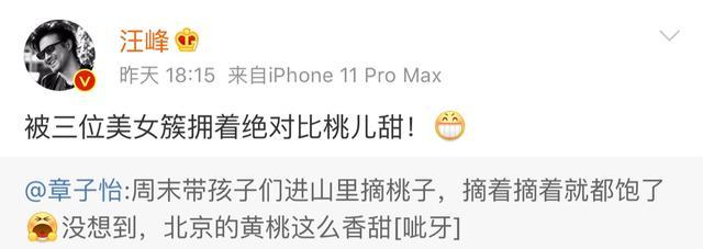 章子怡|被养女直追颜值，亲女儿却神似汪峰，章子怡带娃爬山破怀孕消息