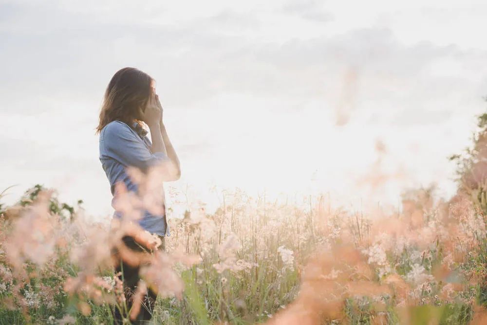 曾国藩|成年人的世界总结成两个字：算了