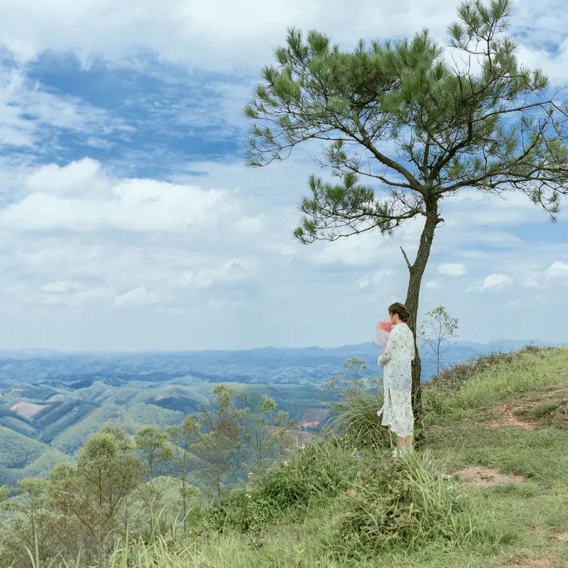 曾国藩|成年人的世界总结成两个字：算了