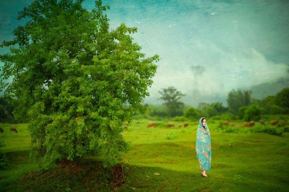 曾国藩|成年人的世界总结成两个字：算了