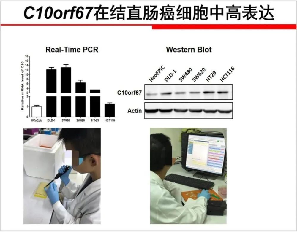 基因|医学奇才？小学生研究基因与癌症关系拿大奖！水平堪比博士！父母身份曝光…