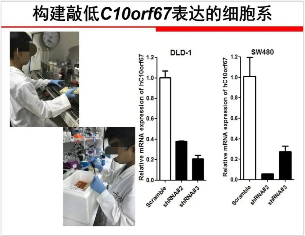 基因|医学奇才？小学生研究基因与癌症关系拿大奖！水平堪比博士！父母身份曝光…