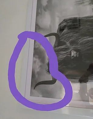 澳大利亚_社会|震惊！澳大利亚超市出售墙画被曝“闹鬼”！澳女竟在里面看到这个！