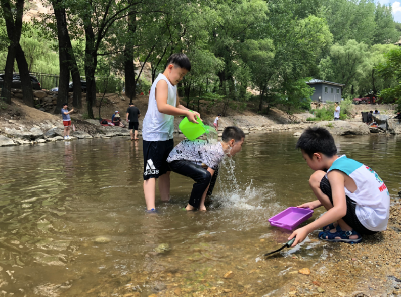 孩子|下水摸鱼、爬山登高、摘菜除草、捉虫捕虾，城里娃回村玩嗨了